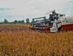 Kolaborasi Unik Kementan dan Densus 88, Mantan Napiter Bantu Wujudkan Swasembada Pangan
