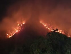 Selama bertahun-tahun, Situbondo memang dikenal rawan kebakaran hutan Termasuk Malam Ini Kembali Terjadi Di Belakang Gudang Bulog Klatakan