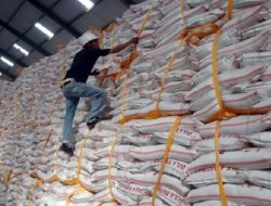 DANANTARA Siap serap Gula Petani Jatim, Nasim Khan: Ini Dia Kepastian yang Benar-benar Ditunggu Oleh Para Petani Tebu