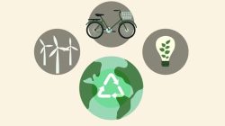 Eco-Lifestyle: Cara Hidup Hijau di Tengah Modernitas