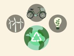 Eco-Lifestyle: Cara Hidup Hijau di Tengah Modernitas