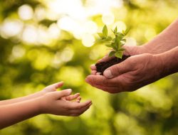 Literasi Lingkungan untuk Semua: Meningkatkan Pengetahuan dan Aksi Nyata Masyarakat