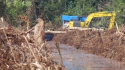 Banjir Bandang Akhir Tahun Ungkap Krisis Lingkungan di Jawa Timur, Aktivis Desak Tindakan Tegas