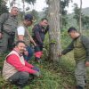 Perhutani Laporkan Dugaan Perusakan Pohon Mahoni di Hutan Situbondo ke Polisi